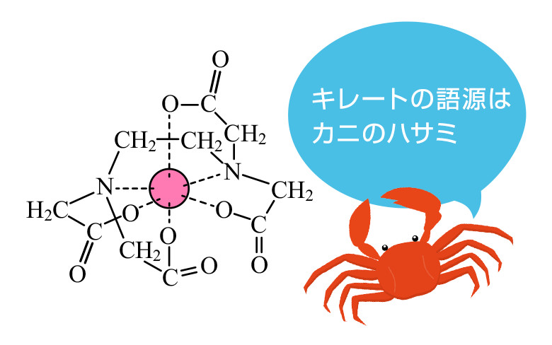 キレートの語源はカニのハサミ